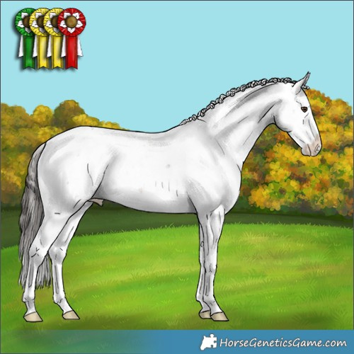 Horse Color:Liver Chestnut Sabino Appaloosa 