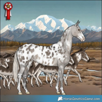 Horse Color:White Spotted Silver Smoky Grullo Sabino Appaloosa 