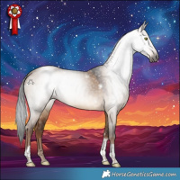 Horse Color:Gray White Spotted Liver Red Dun Tobiano 