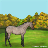Horse Color:Brown Roan Dun 