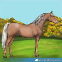 Horse Color:Silver Black Pearl