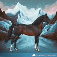 Horse Color:Brown Tobiano 