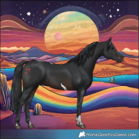 Horse Color:Brown Tobiano 