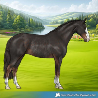 Horse Color:Liver Chestnut Rabicano 