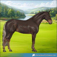 Horse Color:Liver Chestnut Rabicano 