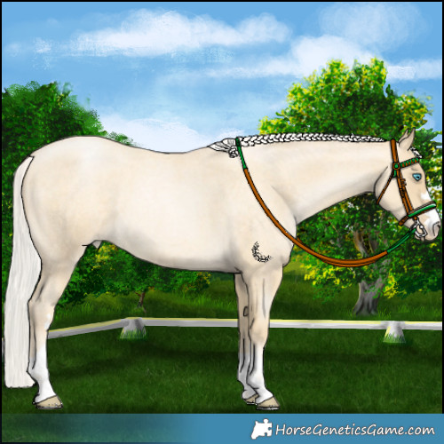 Horse Color:Silver Sable Cream Champagne Roan Pearl 