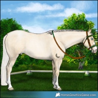 Horse Color:Silver Sable Cream Champagne Roan Pearl