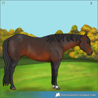 Horse Color:Brown 