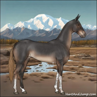 Horse Color:Liver Red Roan Tobiano Rabicano 