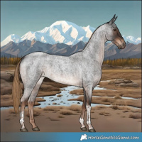 Horse Color:Liver Red Roan Tobiano Rabicano 