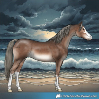 Horse Color:Liver Chestnut Mushroom 
