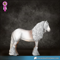 Horse Color:Gray Chocolate Palomino Tobiano