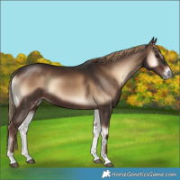 Horse Color:Liver Red Onyx
