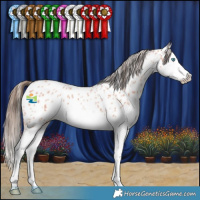 Horse Color:Bay Roan Sabino Splash Near Leopard