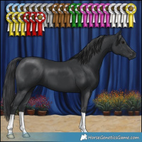 Horse Color:Black 