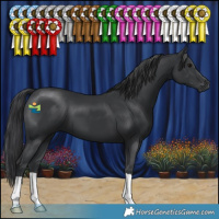 Horse Color:Black 