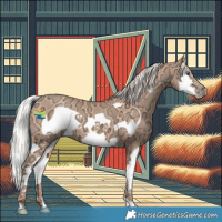 Horse Color:Silver Classic Champagne Ice Splash Frame 