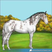 Horse Color:White Spotted Liver Chestnut Mushroom Sabino 