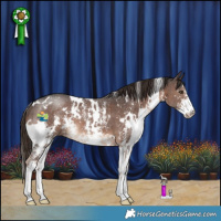 Horse Color:White Spotted Liver Chestnut Sabino