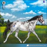 Horse Color:White Spotted Brown Mushroom Sabino