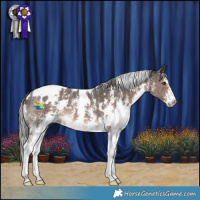 Horse Color:White Spotted Liver Chestnut Mushroom Sabino 