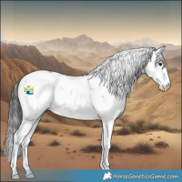 Horse Color:Brown Sabino 