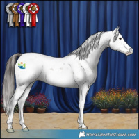 Horse Color:Liver Chestnut Sabino 