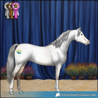 Horse Color:Gray Sable Cream Champagne Roan 