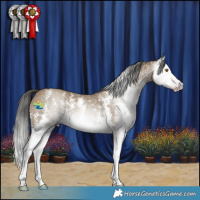 Horse Color:Gray Classic Cream Champagne Sabino Splash