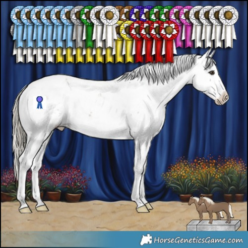 Horse Color:Liver Chestnut Mushroom Sabino Appaloosa 