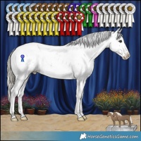 Horse Color:Liver Chestnut Mushroom Sabino Appaloosa 