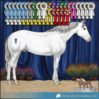 Horse Color:Liver Chestnut Mushroom Sabino Appaloosa 