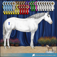 Horse Color:Liver Chestnut Mushroom Sabino Appaloosa 