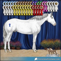 Horse Color:Liver Chestnut Mushroom Sabino Appaloosa