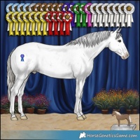 Horse Color:Liver Chestnut Mushroom Sabino Appaloosa