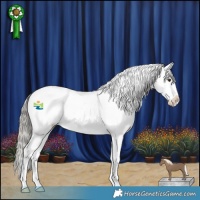 Horse Color:Liver Red Dun Mushroom Sabino Appaloosa 