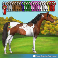 Horse Color:Bay Tobiano Rabicano 