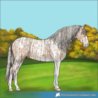 Horse Color:Amber Champagne Sabino Tobiano Varnish and Silver Amber Champagne Sabino Tobiano Varnish