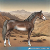 Horse Color:Liver Chestnut Mushroom 