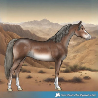 Horse Color:Liver Chestnut Mushroom 