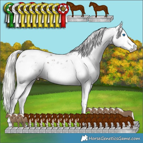 Horse Color:Liver Chestnut Mushroom Sabino Splash