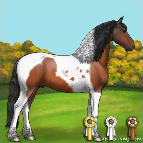 Horse Color:Brown Tobiano 