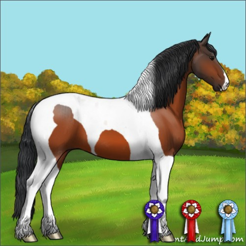 Horse Color:Bay Tobiano 