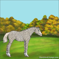 Horse Color:Palomino Ice Pearl Sabino