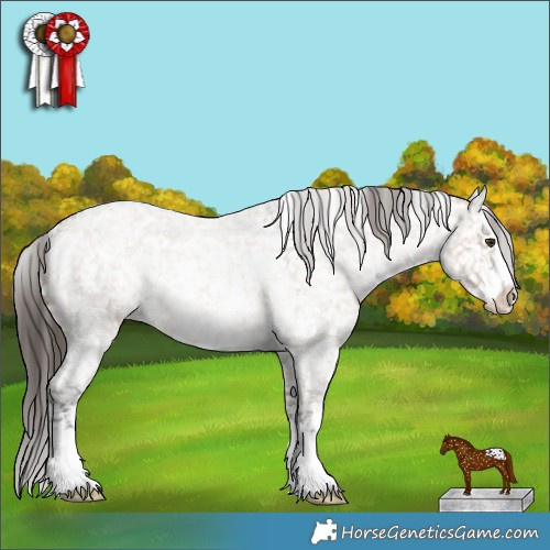 Horse Color:Liver Red Dun Roan Sabino Appaloosa Rabicano 