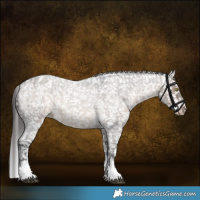 Horse Color:Brown Roan Dun Sabino Snowflake Varnish