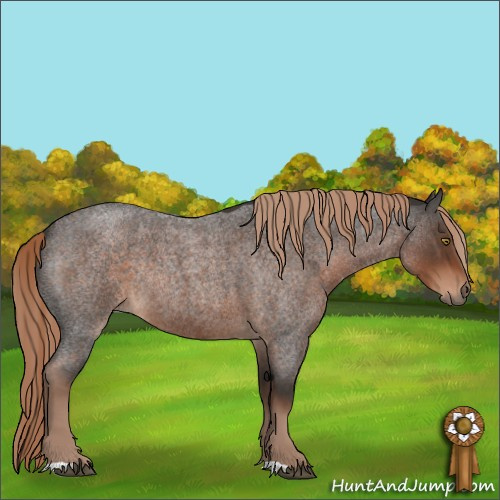 Horse Color:Liver Red Roan Rabicano 
