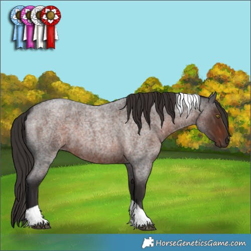 Horse Color:Liver Red Roan Tobiano 