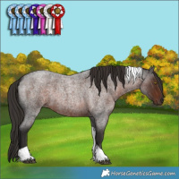 Horse Color:Liver Red Roan Tobiano 