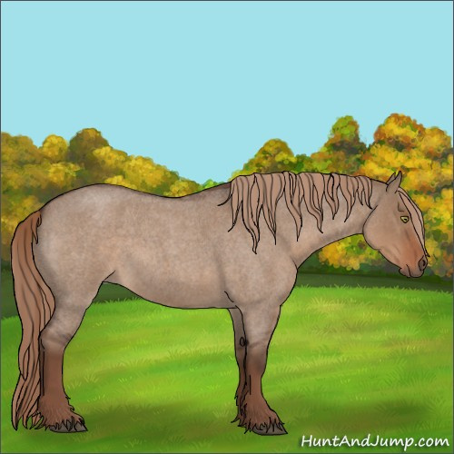 Horse Color:Liver Red Dun Roan Sabino Rabicano 